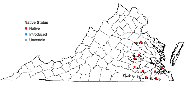 Locations ofEurybia spectabilis (Ait.) Nesom in Virginia
