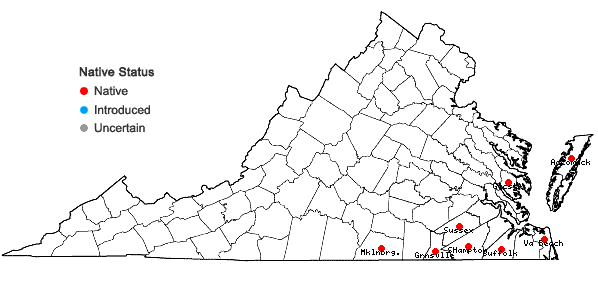 Locations ofEuthamia floribunda Greene in Virginia