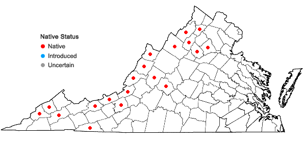 Locations ofEuthamia graminifolia (L.) Nutt. in Virginia