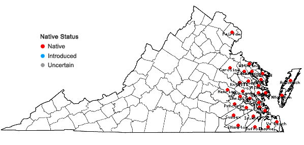 Locations ofEutrochium dubium (Willd. ex Poir.) E.E. Lamont in Virginia