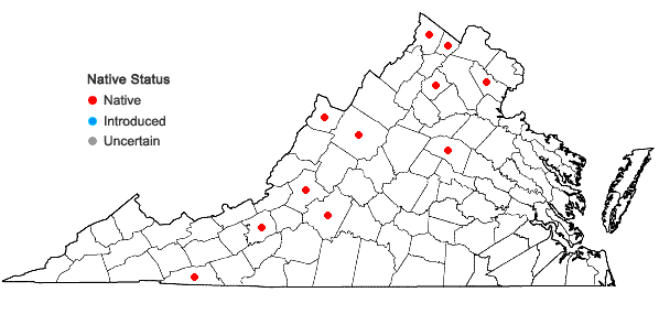 Locations ofEutrochium maculatum (L.) E.E. Lamont var. maculatum in Virginia