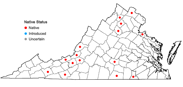 Locations ofFabronia ciliaris (Brid.) Brid. in Virginia