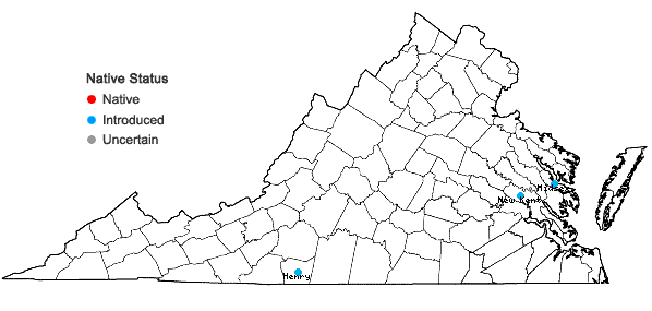 Locations ofFallopia baldschuanica (Regel) Holub in Virginia