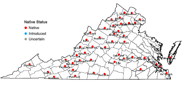 Locations ofFallopia cristata (Engelm. & A. Gray) Holub in Virginia