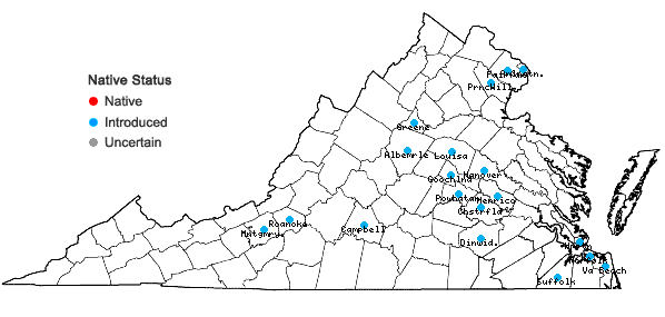 Locations ofFatoua villosa (Thunb.) Nakai in Virginia
