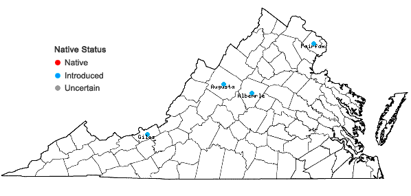 Locations ofFestuca filiformis Pourret in Virginia