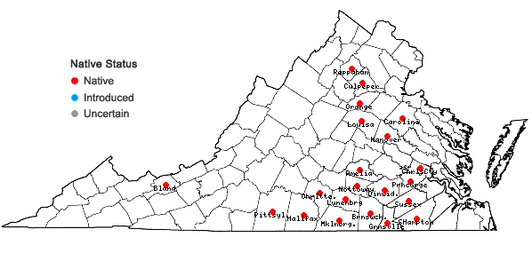 Locations ofFestuca paradoxa Desv. in Virginia