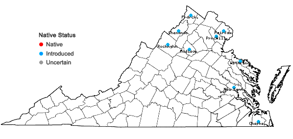 Locations ofFilago germanica (L.) Hudson in Virginia