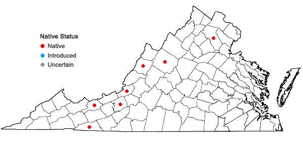 Locations ofFilipendula rubra (Hill) B.L. Robins. in Virginia