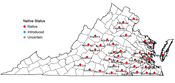 Locations ofFimbristylis annua (Allioni) R. & S. in Virginia