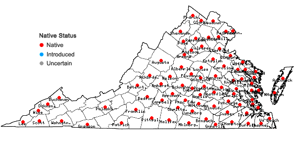Locations ofFimbristylis autumnalis (L.) R. & S. in Virginia
