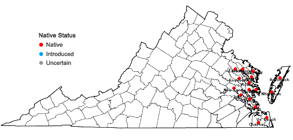 Locations ofFimbristylis castanea (Michx.) Vahl in Virginia