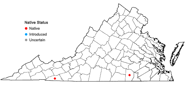 Locations ofFimbristylis puberula (Michx.) Vahl in Virginia