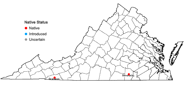 Locations ofFimbristylis puberula (Michx.) Vahl in Virginia