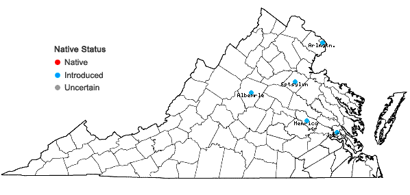 Locations ofFirmiana simplex (L.) W. Wight in Virginia