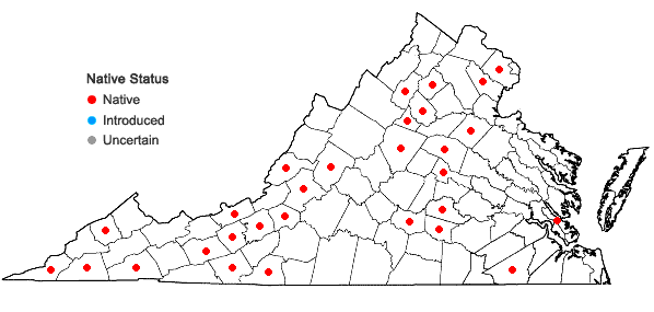 Locations ofFissidens bryoides Hedwig in Virginia
