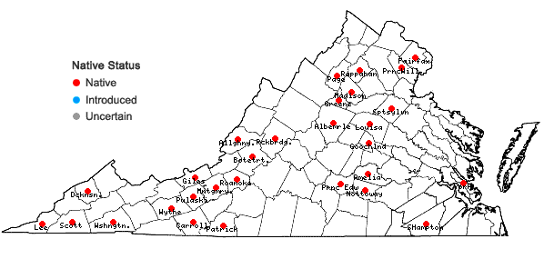 Locations ofFissidens bryoides Hedwig in Virginia