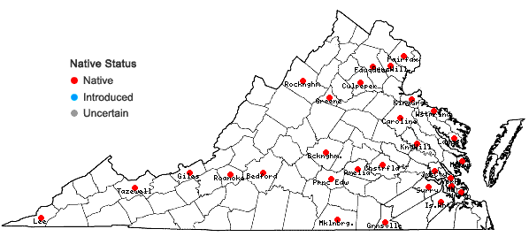 Locations ofFissidens bushii (Cardot & Thér.) Cardot & Thér. in Virginia