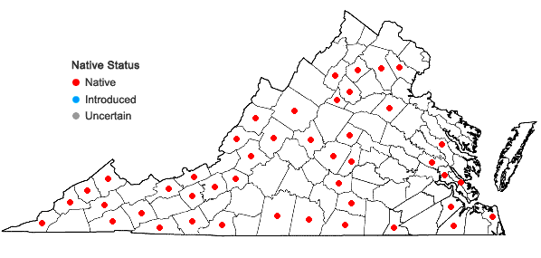 Locations ofFissidens dubius P. Beauv. in Virginia