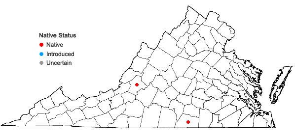Locations ofFissidens elegans Brid. in Virginia