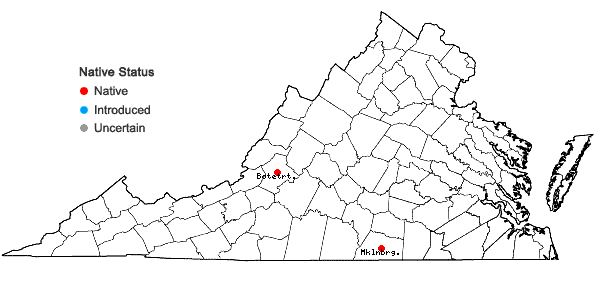 Locations ofFissidens elegans Brid. in Virginia