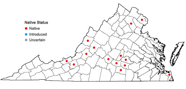 Locations ofFissidens fontanus (Bach. Pyl.) Steud. in Virginia