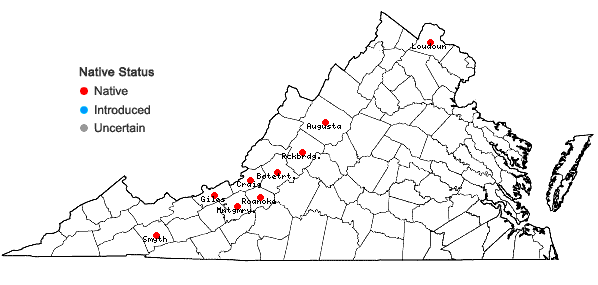 Locations ofFissidens grandifrons Brid. in Virginia