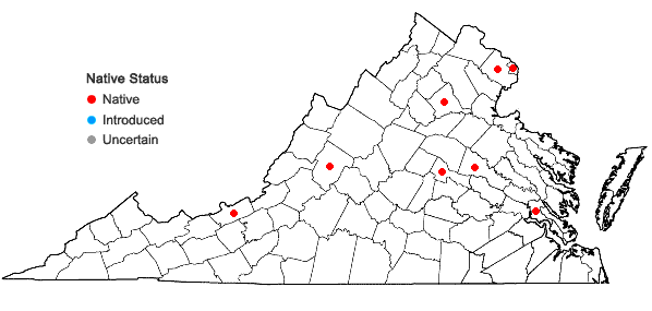 Locations ofFissidens obtusifolius Wilson in Virginia