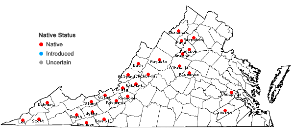 Locations ofFissidens subbasilaris Hedwig in Virginia