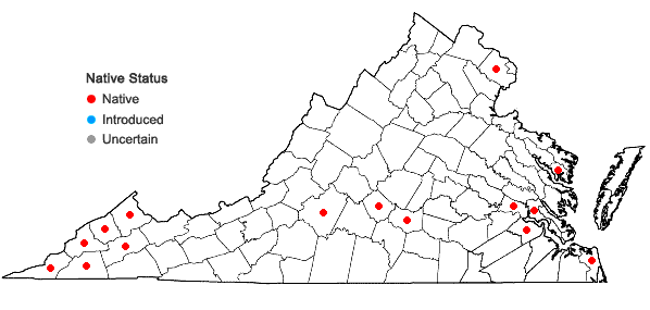 Locations ofFleischmannia incarnata (Walt.) King & Robins. in Virginia