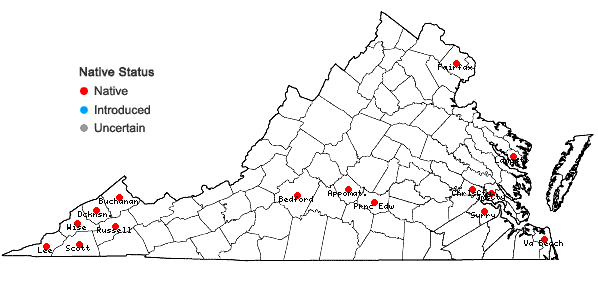 Locations ofFleischmannia incarnata (Walt.) King & Robins. in Virginia