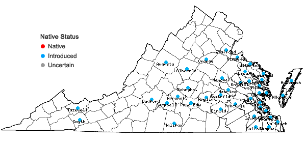 Locations ofFoeniculum vulgare P. Mill. in Virginia