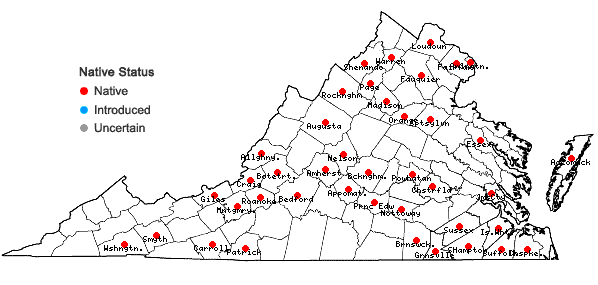 Locations ofFontinalis novae-angliae Sullivant in Virginia