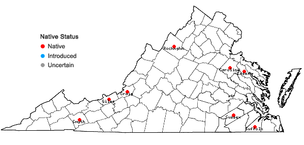 Locations ofFontinalis sphagnifolia (Müll. Hal.) Wijk & Margad. in Virginia