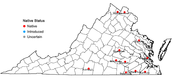 Locations ofFontinalis sullivantii Lindb. in Virginia