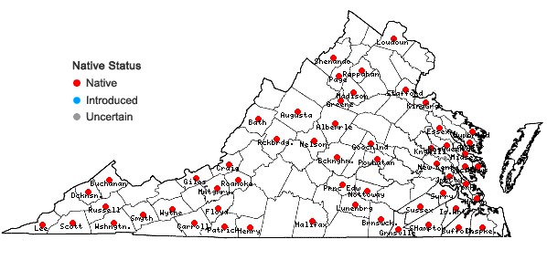 Locations ofForsstroemia trichomitria (Hedw.) Lindb. in Virginia