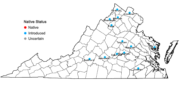 Locations ofForsythia suspensa (Thunb.) Vahl in Virginia