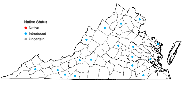 Locations ofForsythia viridissima Lindley in Virginia