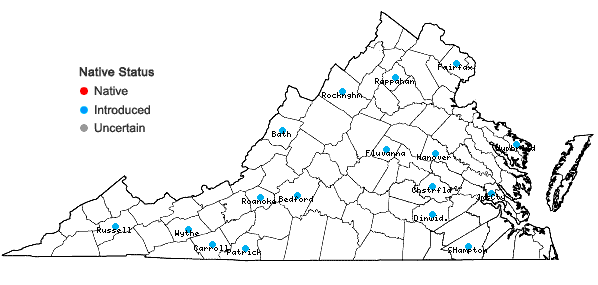 Locations ofForsythia viridissima Lindley in Virginia