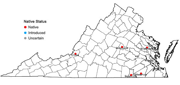 Locations ofFossombronia foveolata Lindb. in Virginia