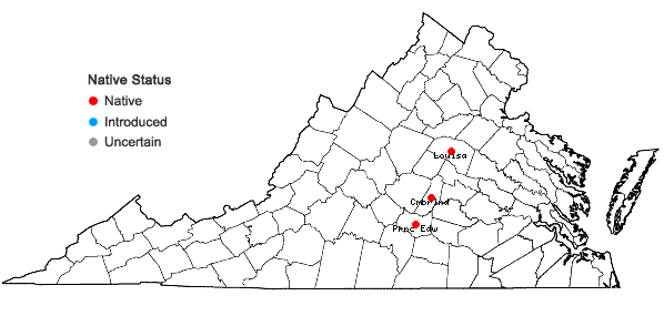 Locations ofFossombronia porphyrorhiza (Nees) Prosk. in Virginia