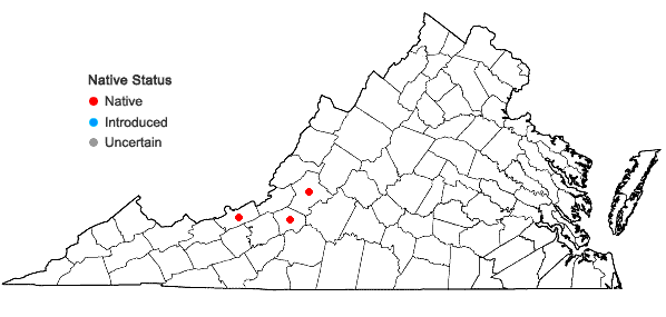 Locations ofFossombronia wondraczekii (Corda) Dumort. ex Lindb. in Virginia