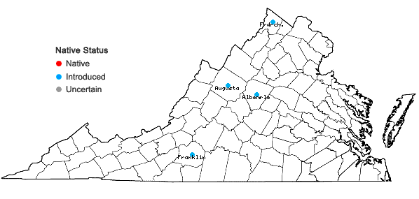 Locations ofFrangula alnus P. Mill. in Virginia