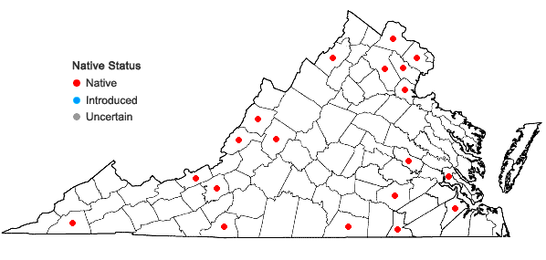 Locations ofFraxinus americana L. var. biltmoreana (Beadle) Wright ex Fern. in Virginia