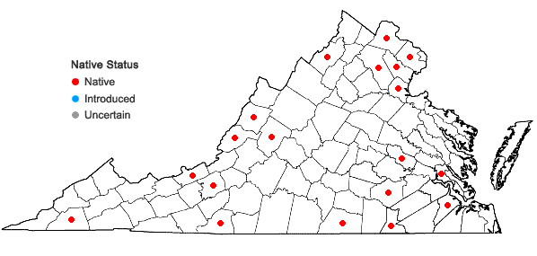 Locations ofFraxinus biltmoreana Beadle in Virginia