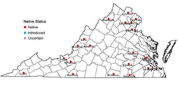 Locations ofFraxinus biltmoreana Beadle in Virginia