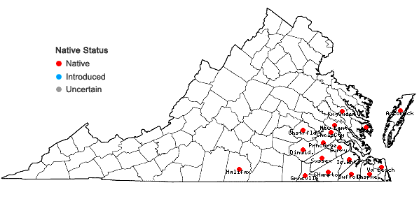 Locations ofFraxinus caroliniana P. Miller in Virginia