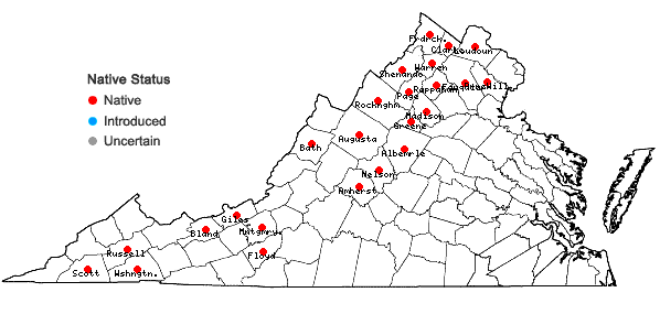 Locations ofFraxinus nigra Marshall in Virginia