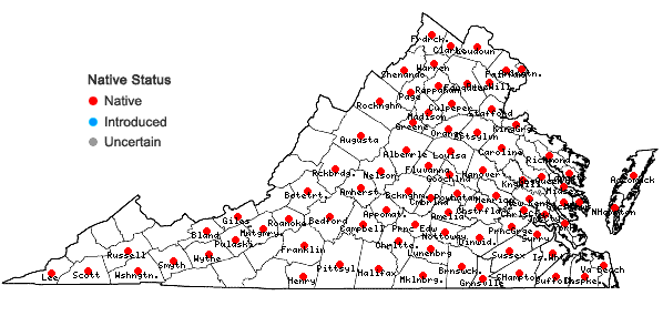 Locations ofFraxinus pennsylvanica Marshall in Virginia