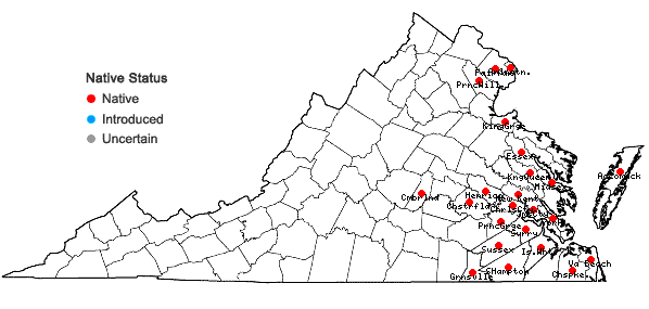 Locations ofFraxinus profunda (Bush) Bush in Virginia